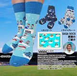 SAGASOCKS(サガソックス)